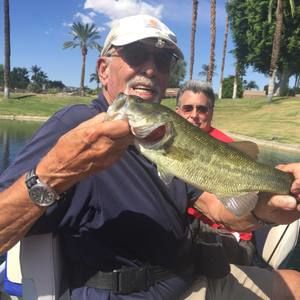 Meet your Posher, Warren